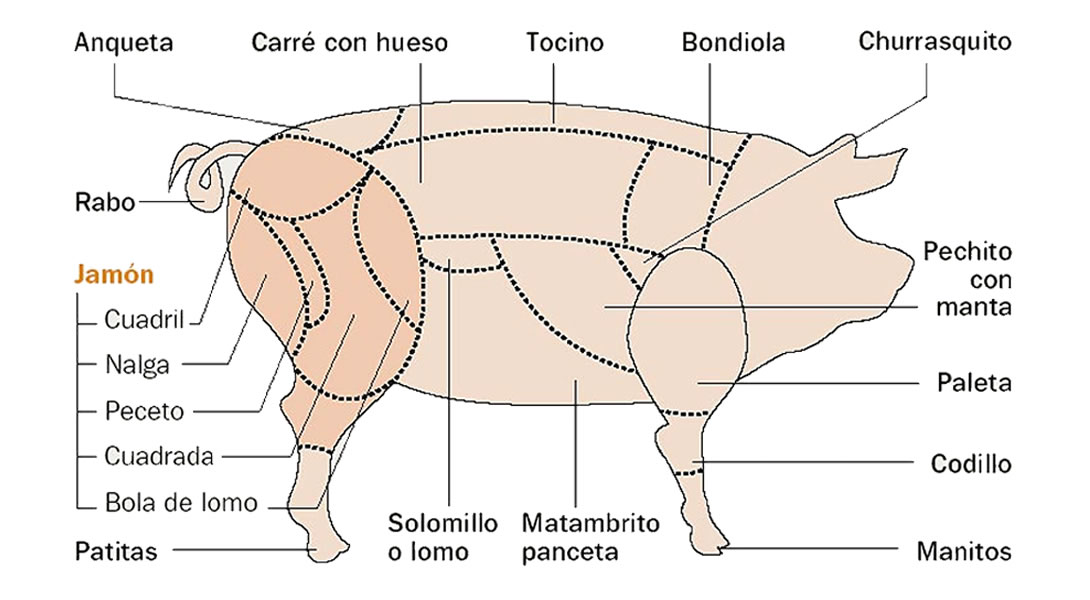 Cortes de Carne de Cerdo de Argentina